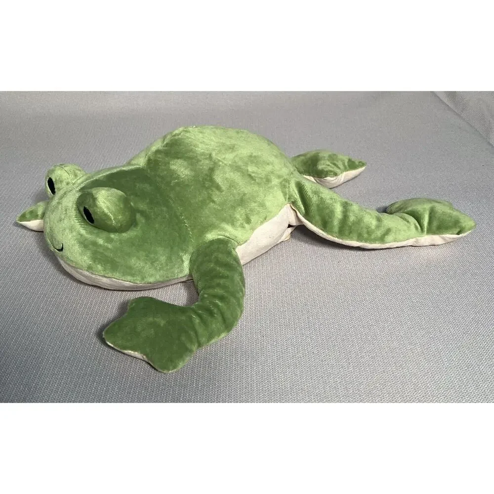 Kiwi Co DISSECTING FROG‎ 16